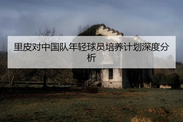 里皮对中国队年轻球员培养计划深度分析