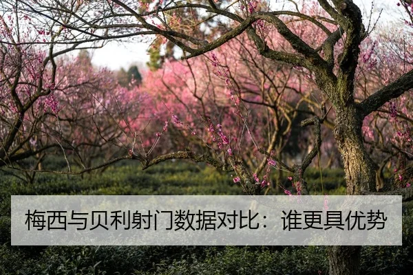梅西与贝利射门数据对比：谁更具优势
